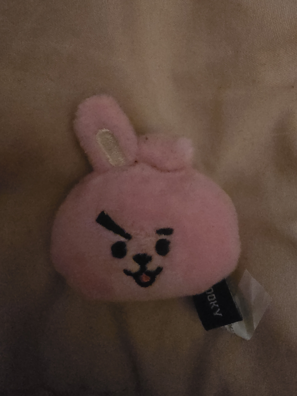 BT21 Cooky Plush Magnet